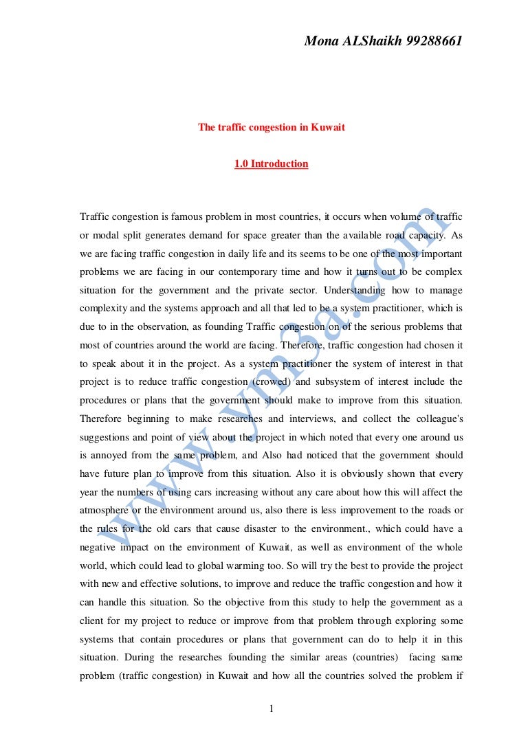 essay about my future
