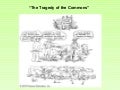 Tragedy of the Commons