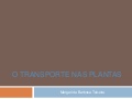 Transporte nas plantas ppt