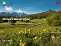 Travel NEXT - Trento 22 marzo 2013 - Come cambia il Viaggio - Roberta Milano.pdf