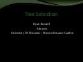 Tree selection