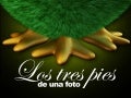 Tres Pies De Una Foto