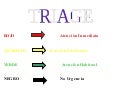Triage