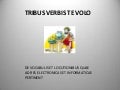 Tribus Verbis Te Volo