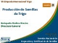 Produccion de Semillas de Trigo