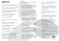 Triptico yerbabuenasoftware