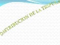 Tripulacion