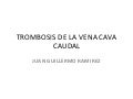 Trombosis de la vena cava caudal