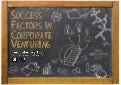 Success Factors Corporate Venturing