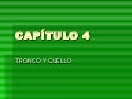 Tronco, cuello y cabeza