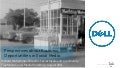 Perspectives: Business Opportunities and Social Media