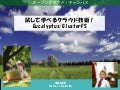 Try andstudy cloud_20120509_nagoya