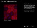 Can Stem Cells Restore Sight?