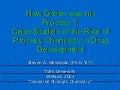 Green Chemistry  Principles