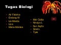 Sistem Peredaran Darah