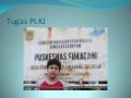 Tugas plkj