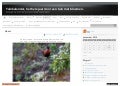 Tuinkalender wordpress com_maart