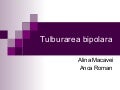 Tulburarea Bipolara