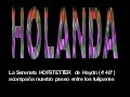 Tulipanes Holanda A