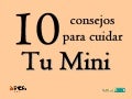 10 consejos para cuidar tu mini