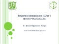 Tumores De Nariz Y Senos Paranasales