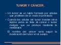 Tumor y cáncer