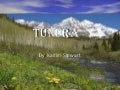 Tundra