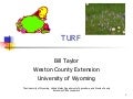 Turf Management