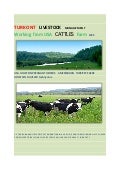 Turkont cattles farme  salt okunur 4