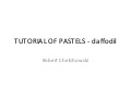 Robert Chełchowski - Tutorial of pastels - daffodil