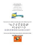 Tween Group,Llc Business Plan1