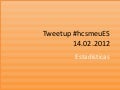 Tweetup #hcsmeu es 14.02.2012 stats