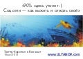 «90% здесь утонет :( Соцсети — как выжить и отжать свое»