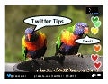 Twitter Tips