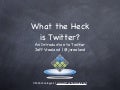 What the Heck is Twitter?