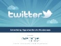 Twitter Advertising