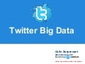 Twitter Big Data