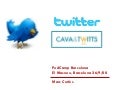 Que es Twitter (Podcamp Barcelona)