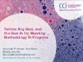 Twitter, Big Data, and the Search for Meaning: Methodology in Progress