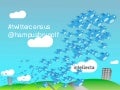 Twittercensus live