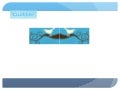 Twitter for Irish Archives, Archivists & Records Managers.