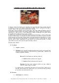 Jornadas de la Cocina del Marisco