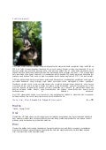 Uitm~profile