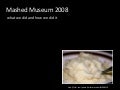 Mashed Museum 2008