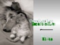 Unconditional Love