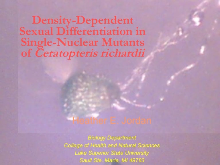 Example of dissertation defense powerpoint