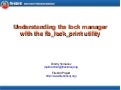 Understanding the lock manager internals with the fb lock print utility