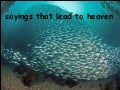 Underwater Paradise