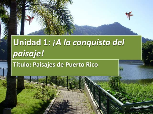 Unidad 1: Imágenes de paisajes de Puerto Rico