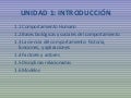 Comportamiento Organizacional